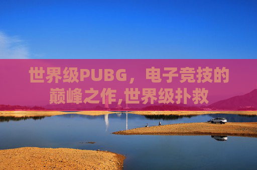 世界级PUBG，电子竞技的巅峰之作,世界级扑救