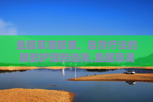 鱼腥草滴眼液，自然疗法的眼部护理新选择,鱼腥草滴眼液说明书