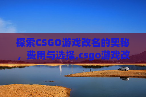 探索CSGO游戏改名的奥秘，费用与选择,csgo游戏改名多少钱一个