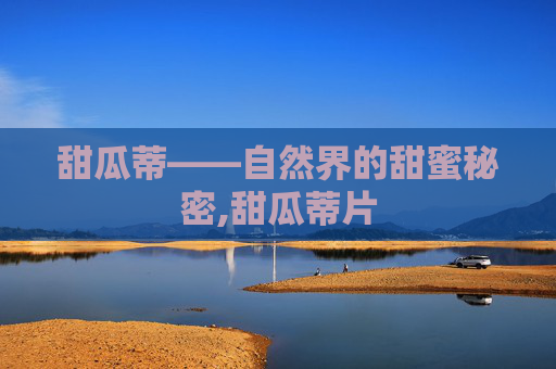 甜瓜蒂——自然界的甜蜜秘密,甜瓜蒂片