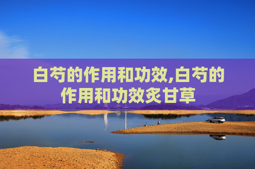 白芍的作用和功效,白芍的作用和功效炙甘草