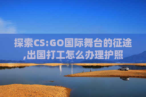 探索CS:GO国际舞台的征途,出国打工怎么办理护照