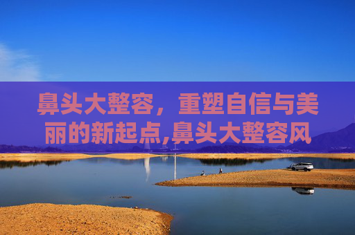 鼻头大整容，重塑自信与美丽的新起点,鼻头大整容风险大吗