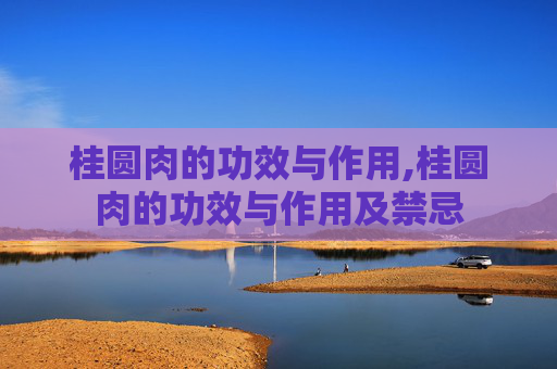 桂圆肉的功效与作用,桂圆肉的功效与作用及禁忌