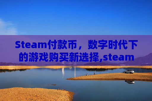 Steam付款币，数字时代下的游戏购买新选择,steam怎么支付人民币