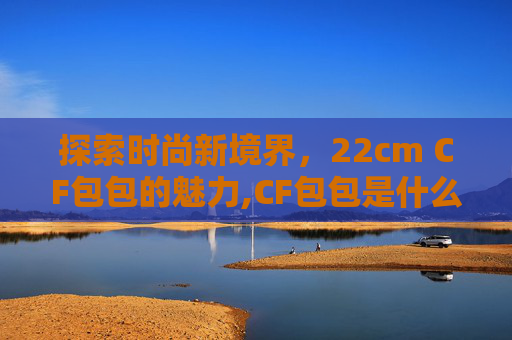 探索时尚新境界，22cm CF包包的魅力,CF包包是什么牌子
