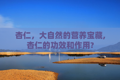 杏仁，大自然的营养宝藏,杏仁的功效和作用?