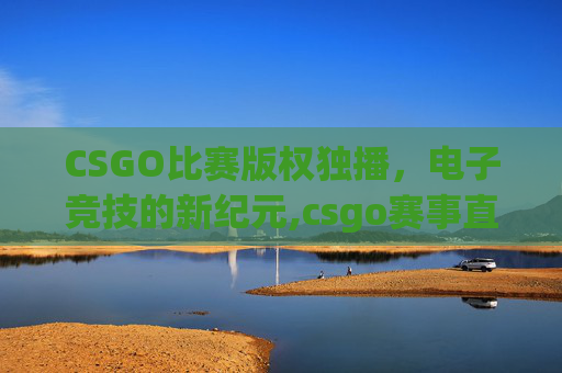 CSGO比赛版权独播，电子竞技的新纪元,csgo赛事直播哪个平台看