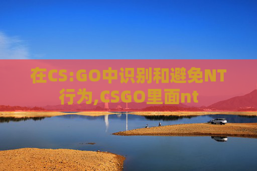 在CS:GO中识别和避免NT行为,CSGO里面nt