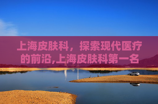 上海皮肤科，探索现代医疗的前沿,上海皮肤科第一名