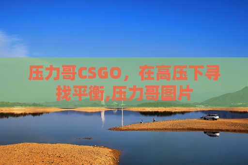 压力哥CSGO，在高压下寻找平衡,压力哥图片