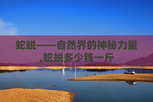 蛇蜕——自然界的神秘力量,蛇蜕多少钱一斤