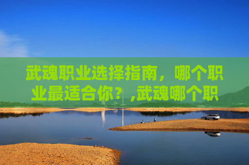 武魂职业选择指南，哪个职业最适合你？,武魂哪个职业好看