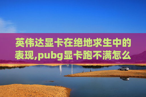 英伟达显卡在绝地求生中的表现,pubg显卡跑不满怎么解决