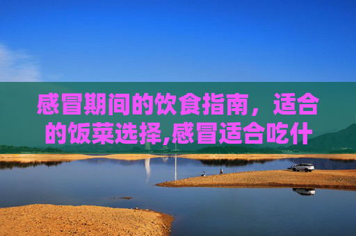 感冒期间的饮食指南，适合的饭菜选择,感冒适合吃什么饭菜比较好