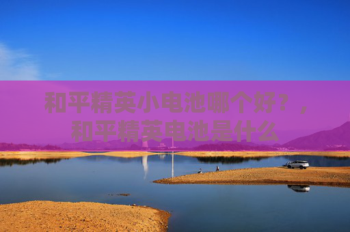 和平精英小电池哪个好？,和平精英电池是什么