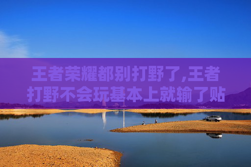 王者荣耀都别打野了,王者打野不会玩基本上就输了贴吧