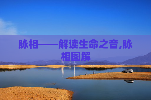 脉相——解读生命之音,脉相图解