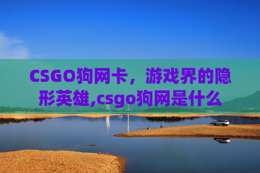 CSGO狗网卡，游戏界的隐形英雄,csgo狗网是什么
