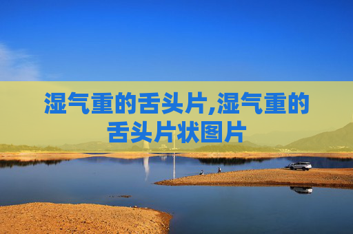 湿气重的舌头片,湿气重的舌头片状图片