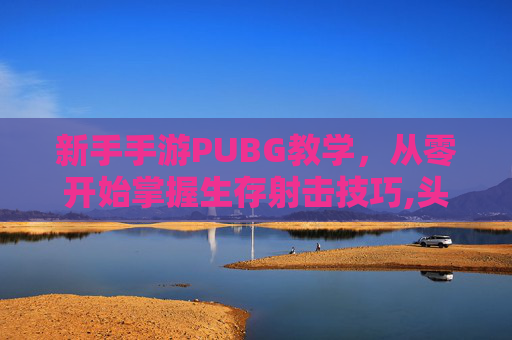 新手手游PUBG教学，从零开始掌握生存射击技巧,头顶有个凹陷按着疼