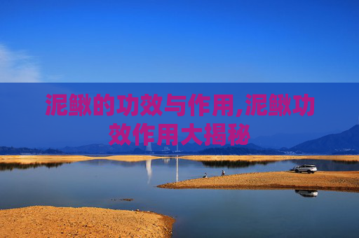 泥鳅的功效与作用,泥鳅功效作用大揭秘