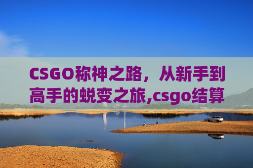 CSGO称神之路，从新手到高手的蜕变之旅,csgo结算称号