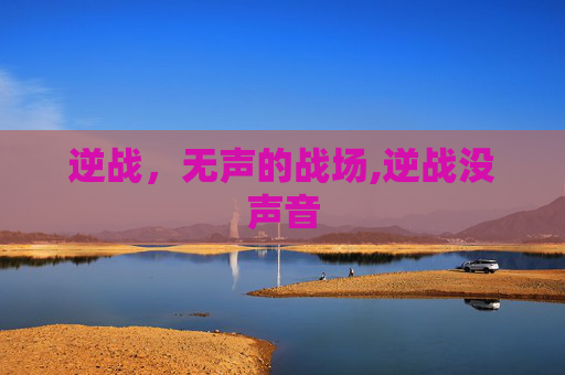 逆战，无声的战场,逆战没声音