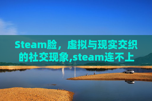 Steam脸，虚拟与现实交织的社交现象,steam连不上网络
