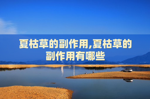 夏枯草的副作用,夏枯草的副作用有哪些