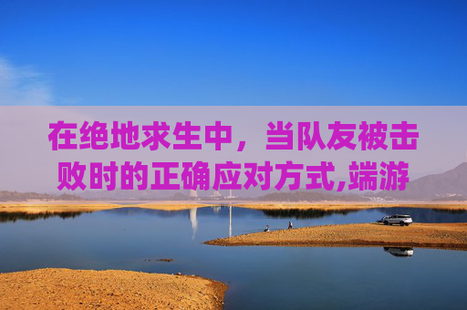 在绝地求生中，当队友被击败时的正确应对方式,端游pubg被队友击杀如何举报