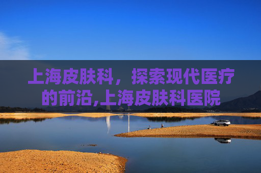 上海皮肤科，探索现代医疗的前沿,上海皮肤科医院