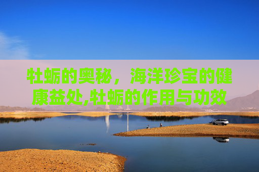 牡蛎的奥秘，海洋珍宝的健康益处,牡蛎的作用与功效和主治