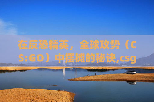 在反恐精英，全球攻势（CS:GO）中摆摊的秘诀,csgo市场在售物品价格