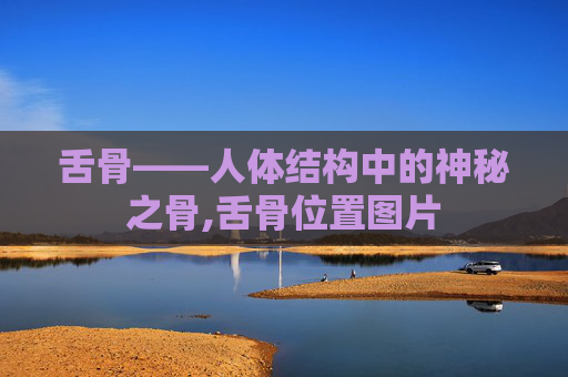 舌骨——人体结构中的神秘之骨,舌骨位置图片