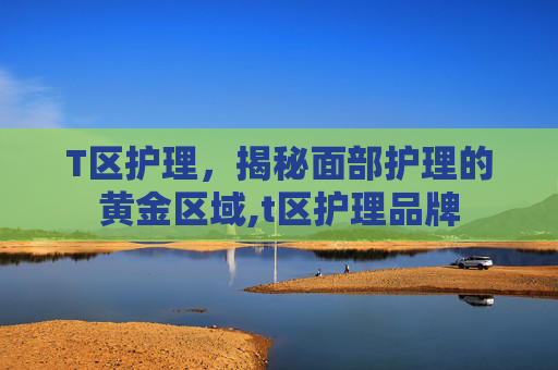 T区护理，揭秘面部护理的黄金区域,t区护理品牌
