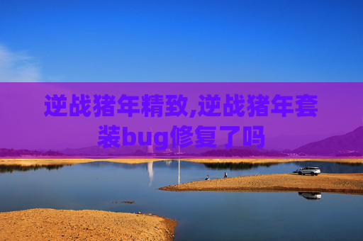 逆战猪年精致,逆战猪年套装bug修复了吗