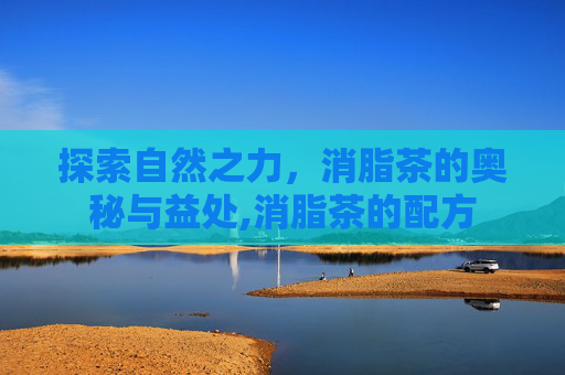 探索自然之力，消脂茶的奥秘与益处,消脂茶的配方