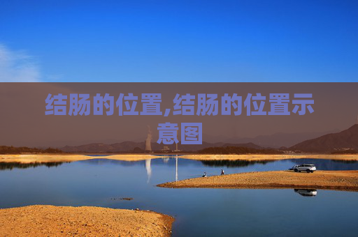 结肠的位置,结肠的位置示意图