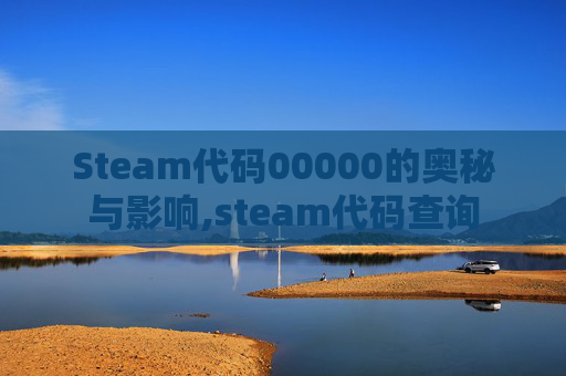 Steam代码00000的奥秘与影响,steam代码查询