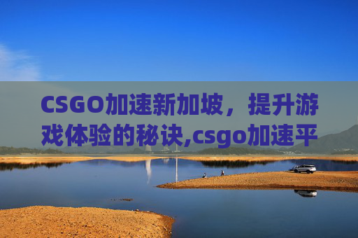 CSGO加速新加坡，提升游戏体验的秘诀,csgo加速平台还是游戏
