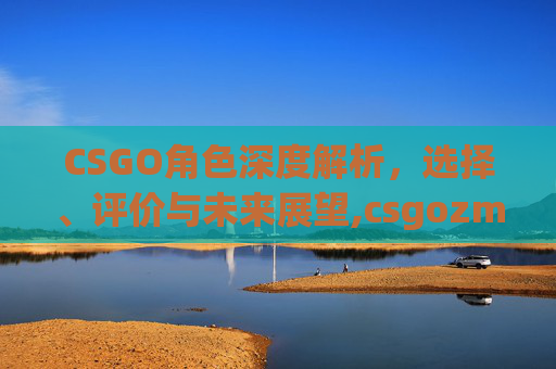 CSGO角色深度解析，选择、评价与未来展望,csgozmd