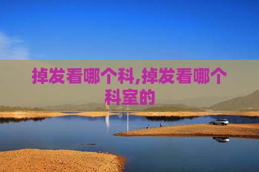 掉发看哪个科,掉发看哪个科室的