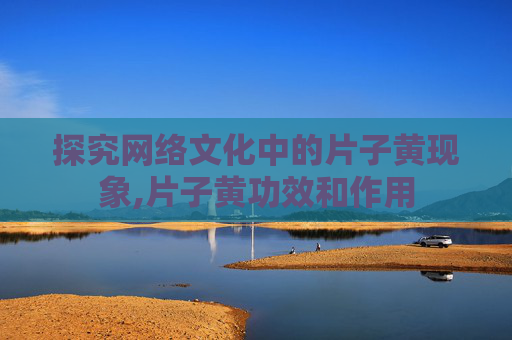 探究网络文化中的片子黄现象,片子黄功效和作用