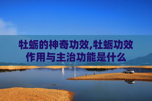 牡蛎的神奇功效,牡蛎功效作用与主治功能是什么