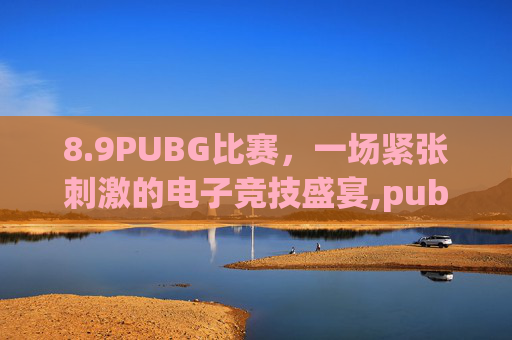 8.9PUBG比赛，一场紧张刺激的电子竞技盛宴,pubg最新比赛