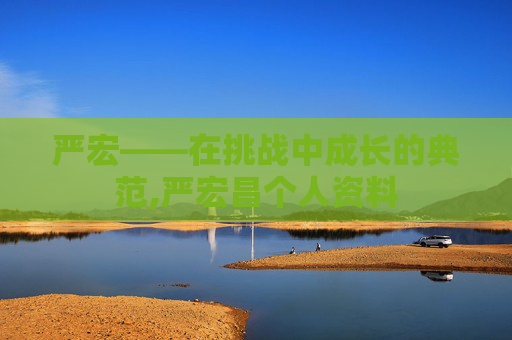 严宏——在挑战中成长的典范,严宏昌个人资料