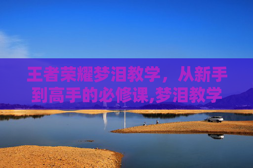 王者荣耀梦泪教学，从新手到高手的必修课,梦泪教学视频
