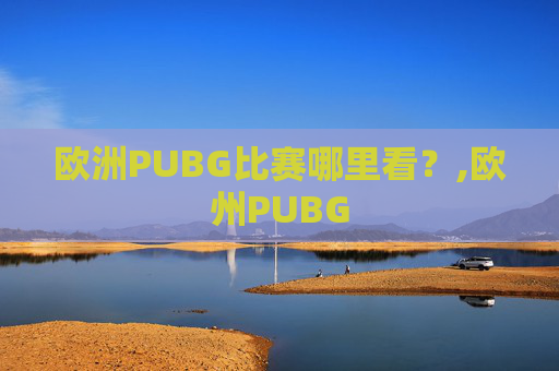 欧洲PUBG比赛哪里看？,欧州PUBG