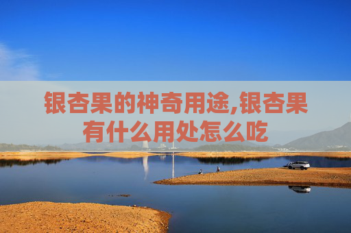 银杏果的神奇用途,银杏果有什么用处怎么吃